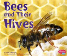 Bees and Their Hives
