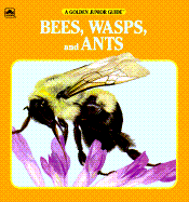 Bees, Wasps and Ants