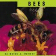 Bees