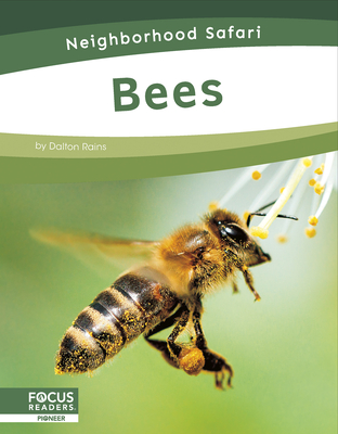 Bees - Rains, Dalton