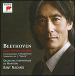Beethoven: Gods, Heroes and Men