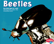 Beetles
