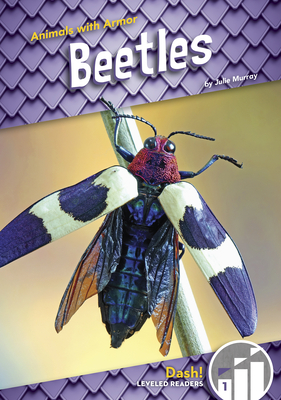 Beetles - Murray, Julie
