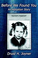 Before We Found You-An Adoption Story