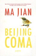Beijing Coma