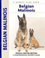 Belgian Malinois