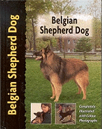 Belgian Shepherd