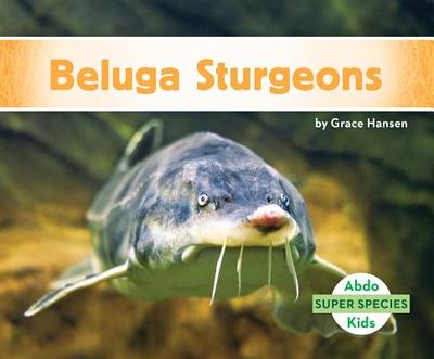 Beluga Sturgeons - Hansen, Grace