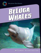 Beluga Whales