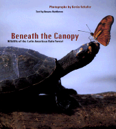 Beneath the Canopy - Matthews, Downs