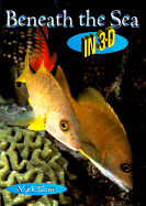 Beneath the Sea in 3-D