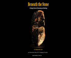 Beneath the Stone: A Dialogue between Paleontology and Radiology