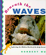 Beneath the Waves: Exploring the Hidden World of the Kelp Forest