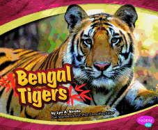 Bengal Tigers