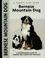 Bernese Mountain Dog
