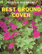 Best Ground Cover