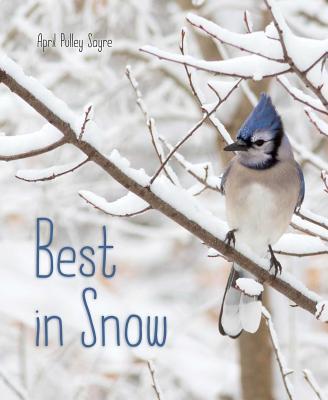 Best in Snow - Sayre, April Pulley (Photographer)