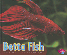 Betta Fish