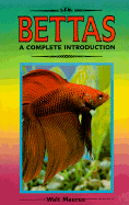 Bettas: A Complete Introduction