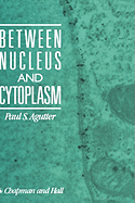 Between Nucleus and Cytoplasm