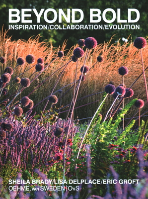 Beyond Bold: Inspiration, Collaboration, Evolution - Groft, Eric, and Brady, Sheila, and Delplace, Lisa