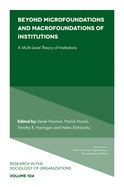 Beyond Microfoundations and Macrofoundations of Institutions: A Multi-Level Theory of Institutions