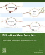 Bidirectional Gene Promoters: Transcription System and Chromosomal Structure