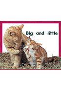 Big and Little: Individual Student Edition Magenta (Level 2)