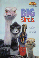 Big Birds
