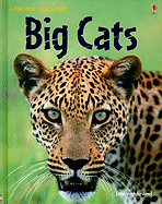 Big Cats