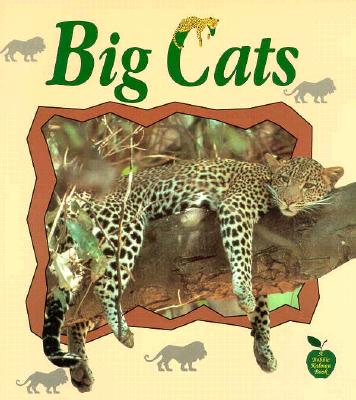 Big Cats - Kalman, Bobbie