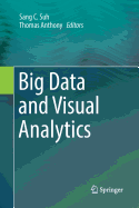 Big Data and Visual Analytics