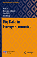 Big Data in Energy Economics