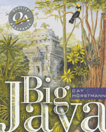 Big Java