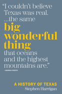 Big Wonderful Thing: A History of Texas