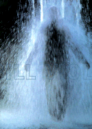 Bill Viola - Ross, David A, and Petry, Michael, and Viola, Bill