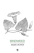 Bindweed