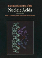 Biochemistry of the Nucleic Acids