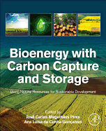 Bioenergy with Carbon Capture and Storage: Using Natural Resources for Sustainable Development