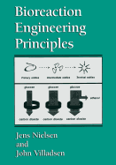 Bioreaction Engineering Principles