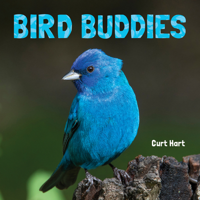 Bird Buddies - Hart, Curt (Photographer)