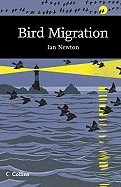 Bird Migration
