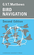 Bird Navigation