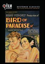 Bird of Paradise