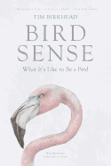 Bird Sense: What it's Like to be a Bird