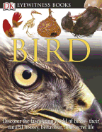 Bird - Burnie, David