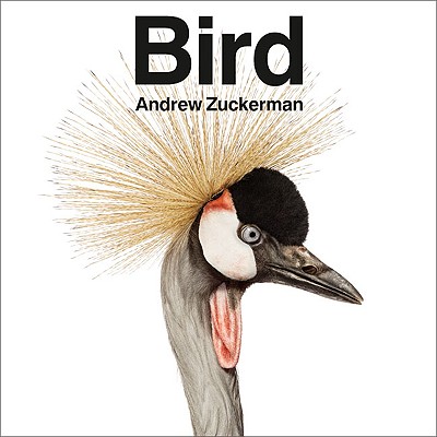 Bird - Zuckerman, Andrew (Photographer)