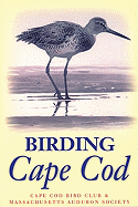 Birding Cape Cod