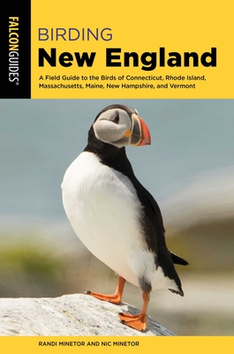 Birding New England - Minetor, Randi, and Minetor, Nic