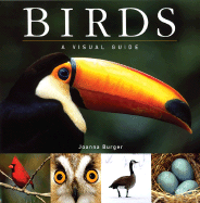 Birds: A Visual Guide